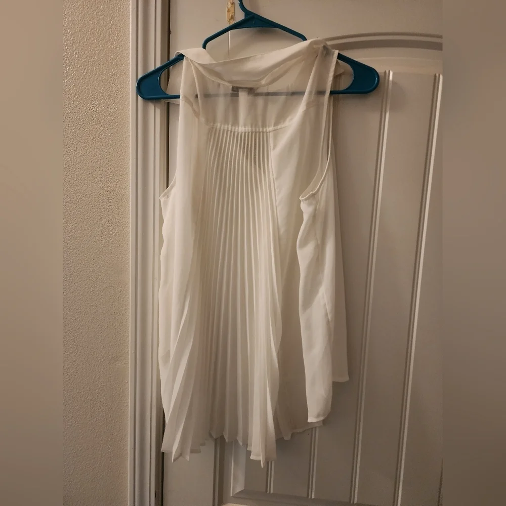 American Eagle Outfitters Sheer Pleated Back Blouse – Large – NWT